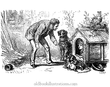 Boy hiding in kennel