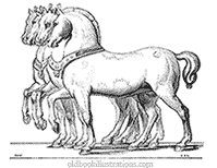 Horses of San Marco