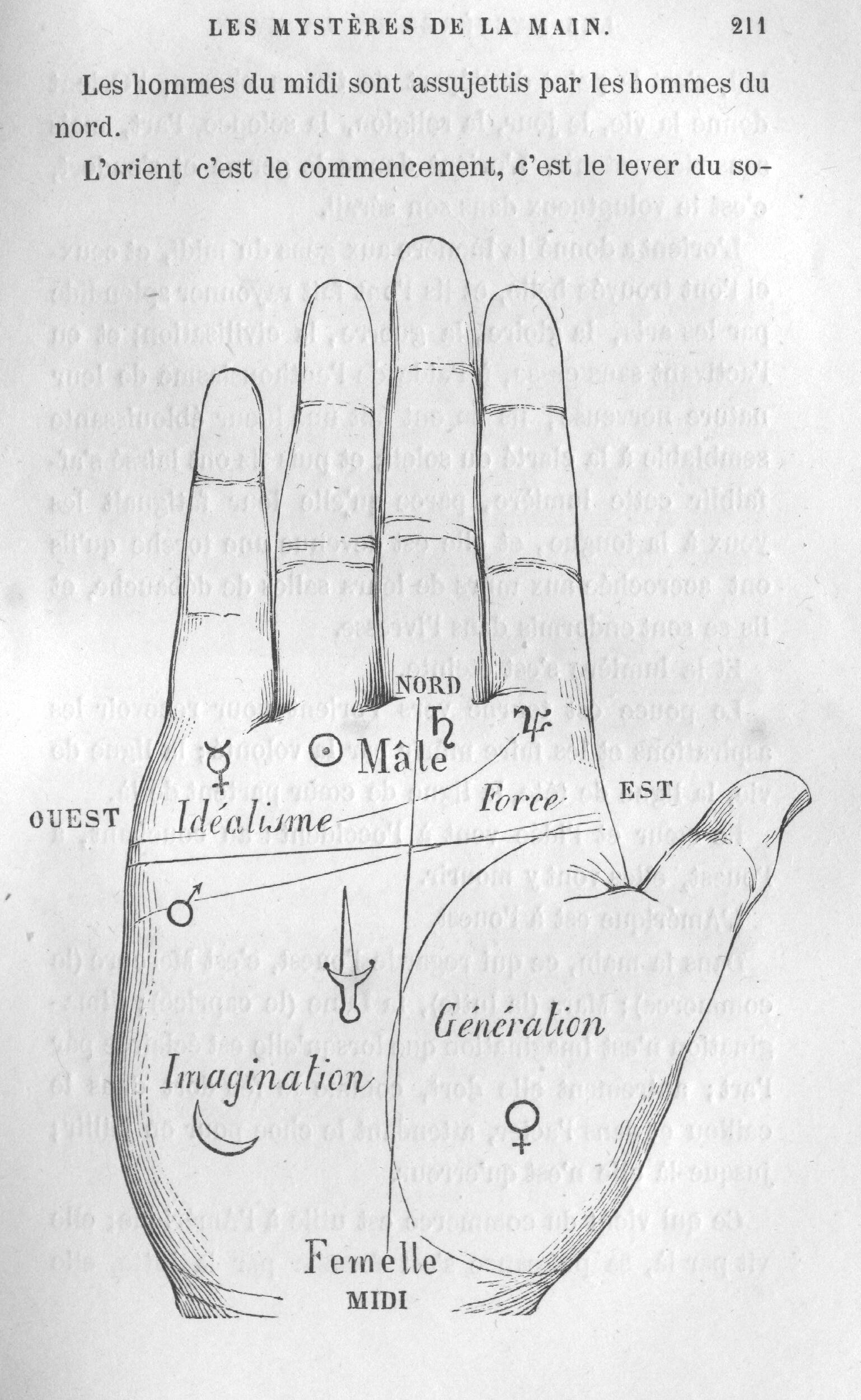 Palmistry, Division of the Hand – Old Book Illustrations