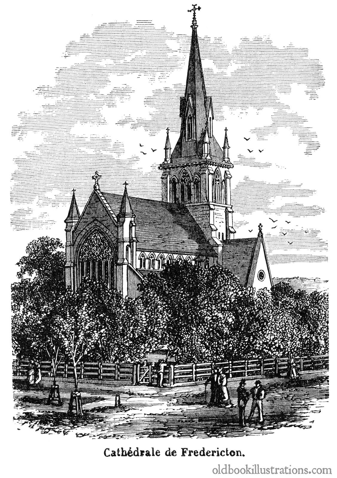 Christ Church Cathedral, Fredericton Old Book Illustrations