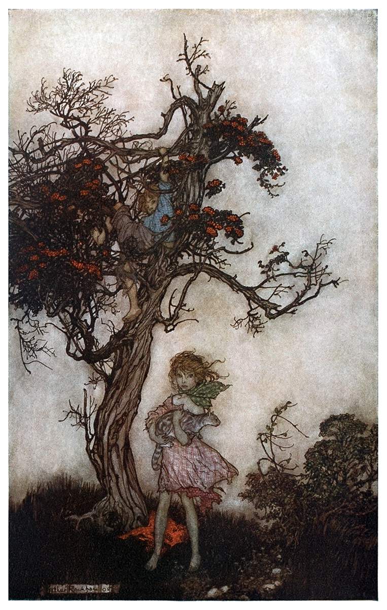 Ragged and Wild – Old Book Illustrations
