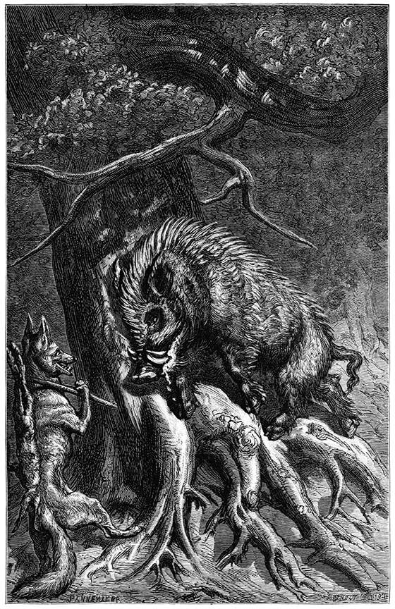 The Fox and the Boar – Old Book Illustrations