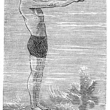 Breaststroke (2)
