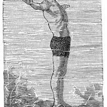 Breaststroke (3)