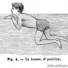 Breaststroke (4)