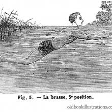 Breaststroke (5)