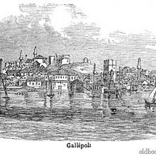 Gelibolu