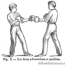 Two boxers on guard