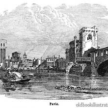 Pavia