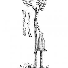 Approach grafting