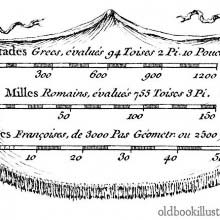 Cartouche (8)