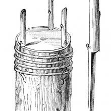 Crown grafting