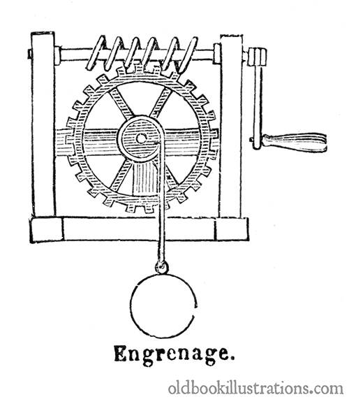 Gear