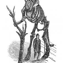 Hadrosaurus