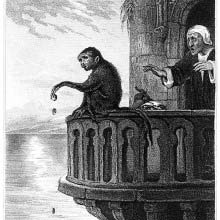The miser and the monkey