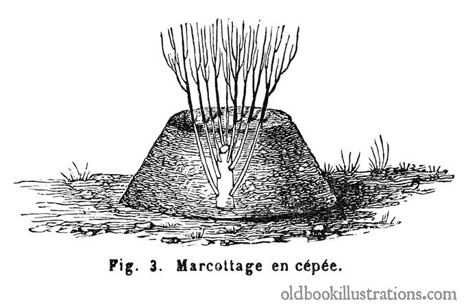 Mound layering