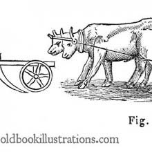 Plows (2)
