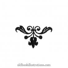 Tailpiece (9)