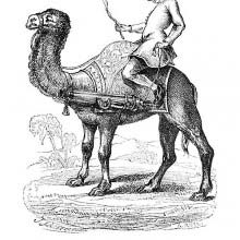 Turkish Gunner in 1690