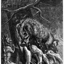 A wild boar rubs his tusks on a large tree as a fox stops to talk to him