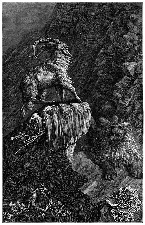 A male goat stands on a mountain rock under which a lion is lurking
