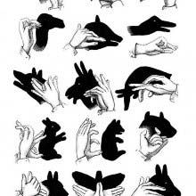 Hand shadow puppetry