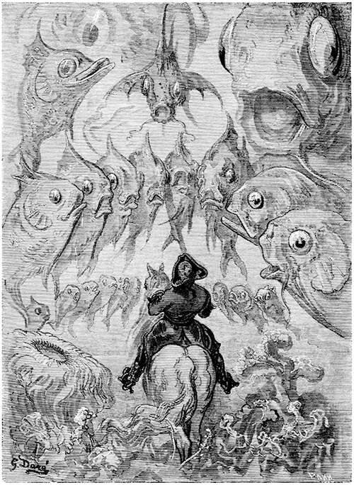 Many Large Fish