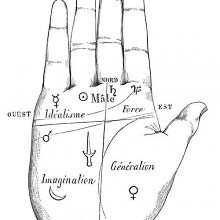 Palmistry, Division of the Hand