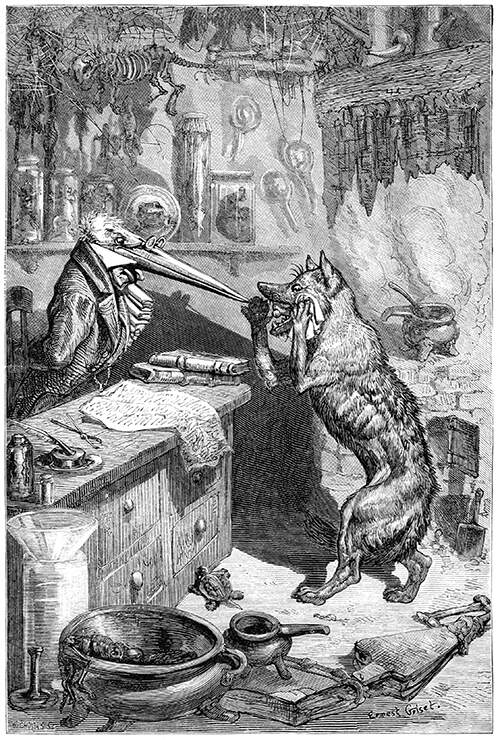 A wolf has walked into the shop of an apothecary and asks the crane to help him
