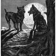 A dog and a wolf face each other at night with a large full moon in the background