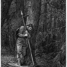 In the Vast Forest