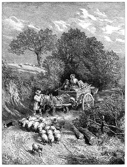 On a sunken lane, a small herd of sheep is on its way to the market, followed by a cart