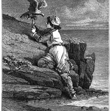 Tamed the Gerfalcon