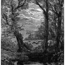 View of a pond or river at night with trees lining the bank