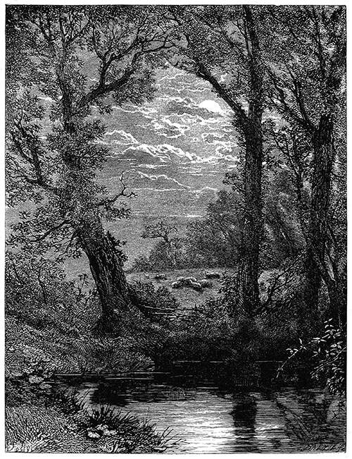 View of a pond or river at night with trees lining the bank