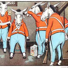 Borax poultice relieved his pain