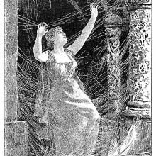 It was covered with a thick spider's web.