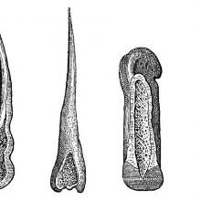 Prehistoric Bone Tools