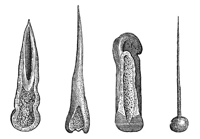 Prehistoric Bone Tools