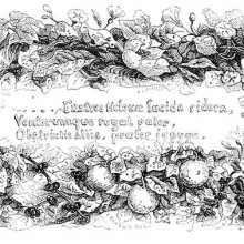 Fratres Helenae