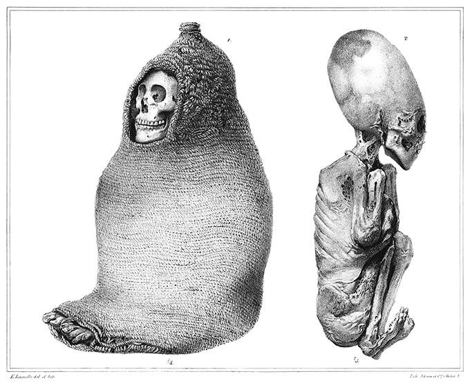 Aymara Mummies