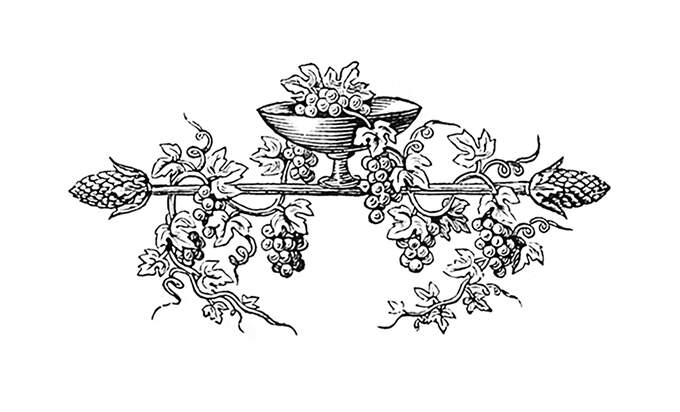 Wine-drinking cup with vine and grapes