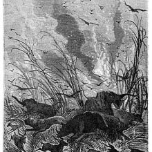 Howlings