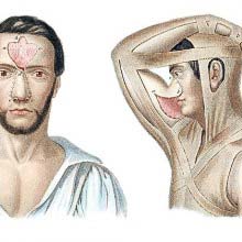 Operations on the nose and nasal fosse