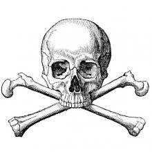 Skull and crossbones