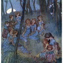 Nightly meadow fairies