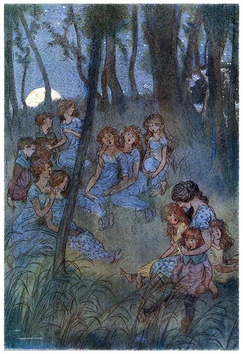 Nightly meadow fairies