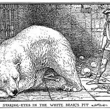 A young man is locked up in a vault with a white bear