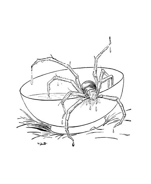 A large spider with a human head crawls out of a half-filled bowl