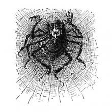A large spider with man's head and hands is seen at the center of a cobweb.